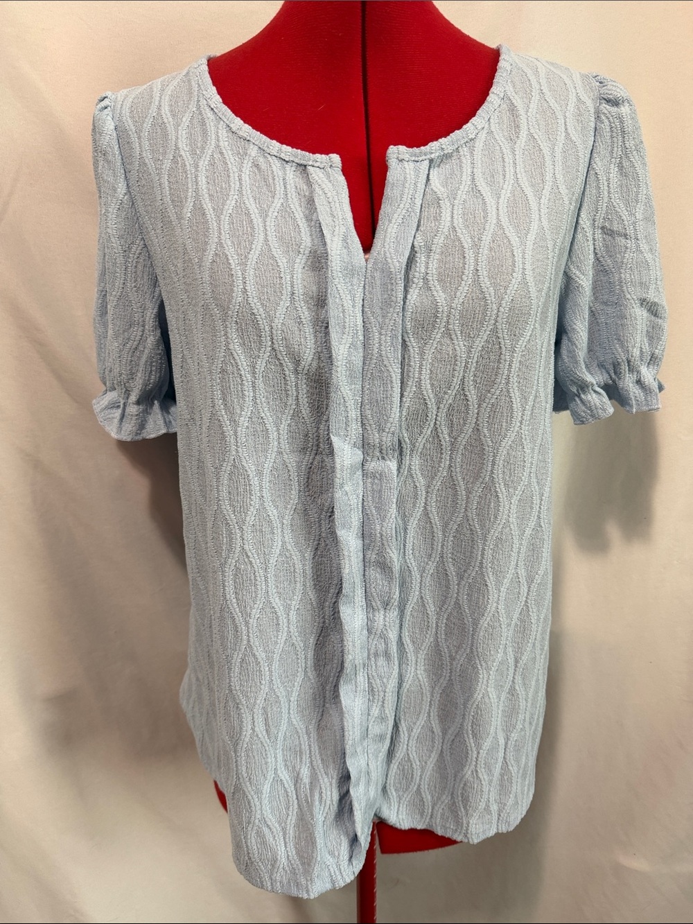 Light Blue Textured Short-Sleeve Blouse with Puff Sleeves